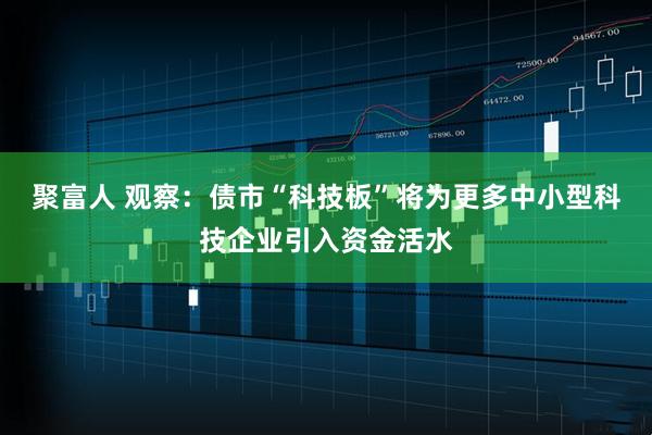 聚富人 观察：债市“科技板”将为更多中小型科技企业引入资金活水